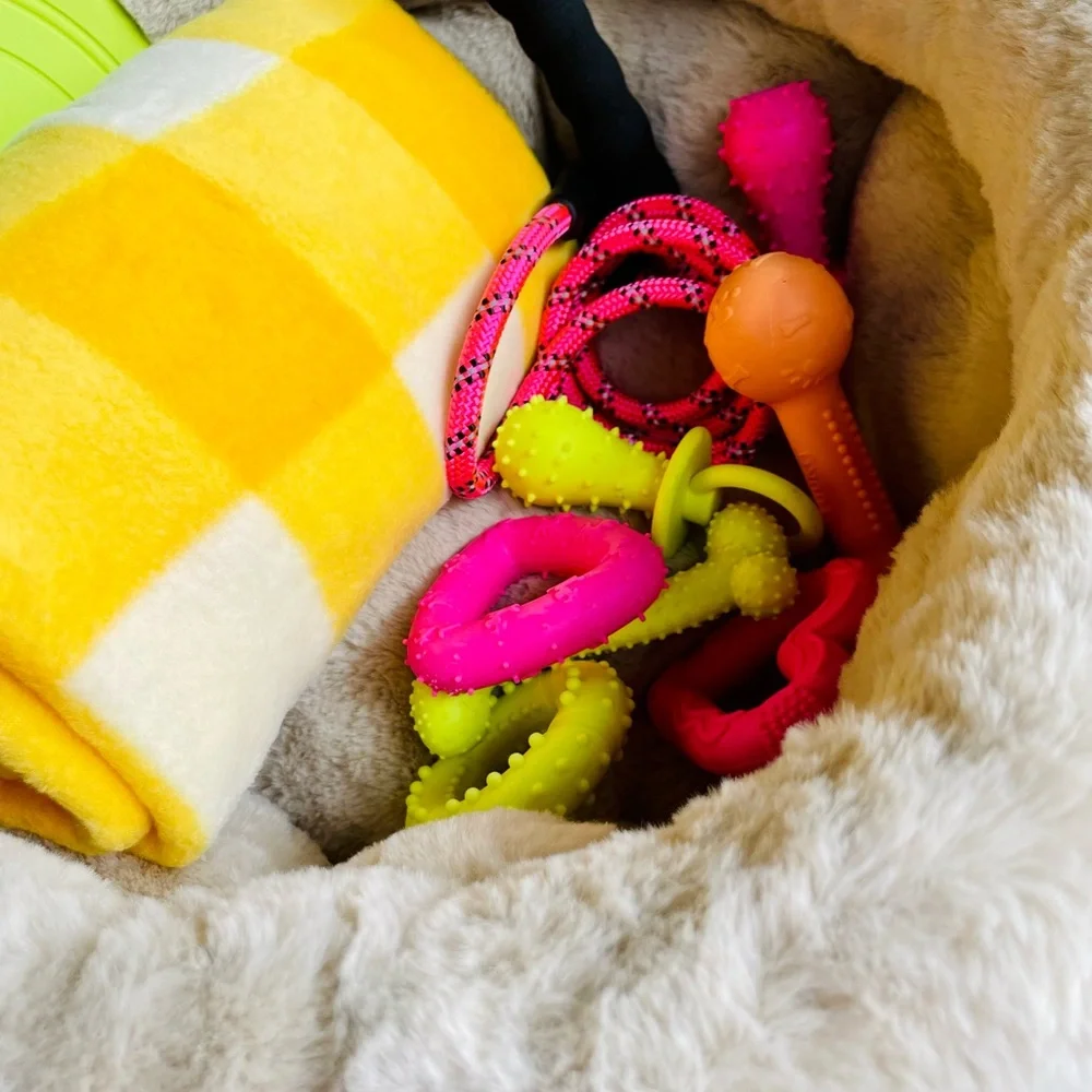 NWT🐾💗Small Dog Gift Bed Basket💗🐾Comes w/leash,blanket,8 great toys,plush…